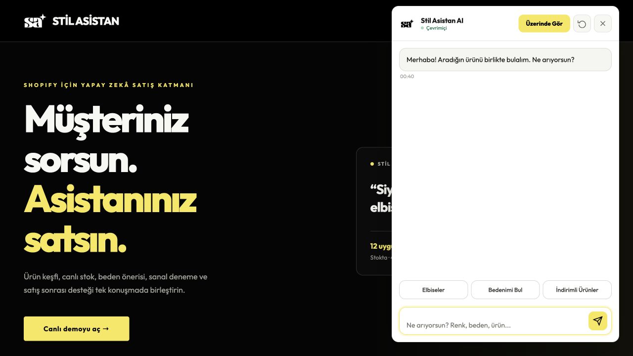 Stil Asistan product interface
